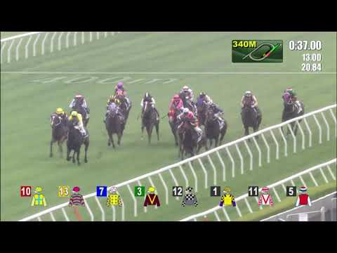 1/5/2022 (625) Cheval Valiant - L Hewitson