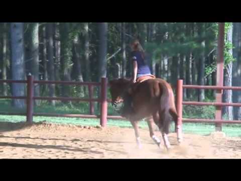 Don Quintanas Hummer