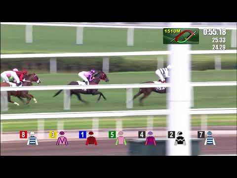 EXULTANT takes the Queen Mother Memorial Cup 2018