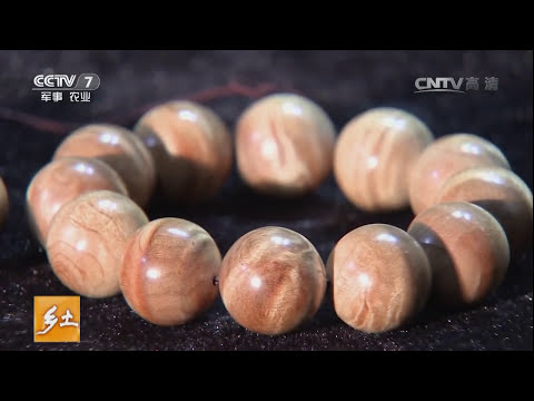 金絲楠木功效