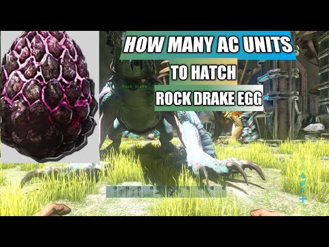 Ark How to hatch A Rock Drake Egg in aberration