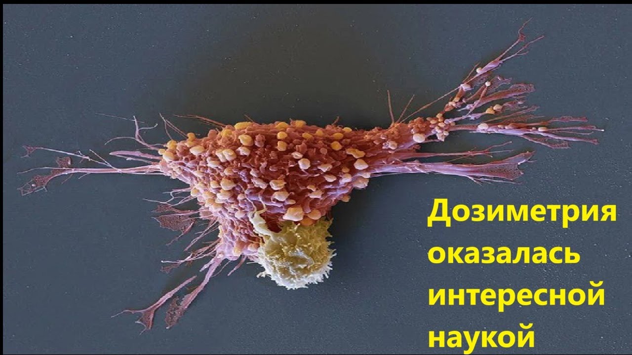 Дозиметрия оказалась интересной наукой