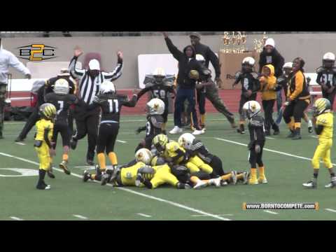 B2C: ATL Ducks vs DA Camo - 7U Division