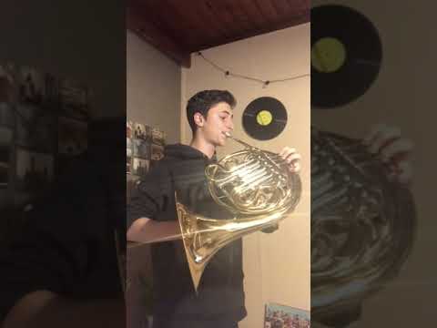 Alexis Fiotakis French Horn Magazine Video Contest cat. giovani
