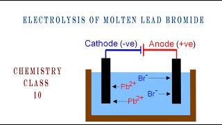 Chemistry Class 10 | Electrolysis | Electrolysis of molten lead bromide
