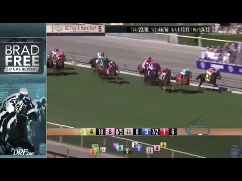Brad Free's SoCal Report Preview - Gamely Stakes 2017 & Gold Cup 2017