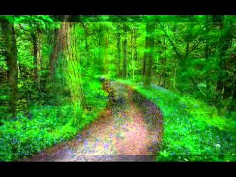 Telugu light music bhamidipati suryakumari