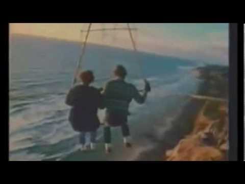 Elroy 4.0 - Nemo's New Shimmery Coat (Official Video)