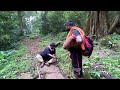 Day 37 Pulimedu Shabarimala Ayyappa Swamy Dharshanam Sri Dharmasastra Padayatra Brundam Sabarimala