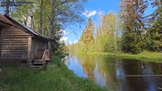 St. Petersburg Russia Countryside walk