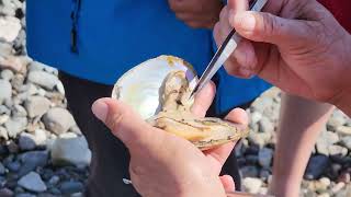 Indigenous Knowledge | Respecting: Video 6