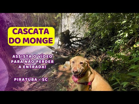 Cascata do Monge, Piratuba, Santa Catarina - Assista o vídeo, é fácil perder a entrada!