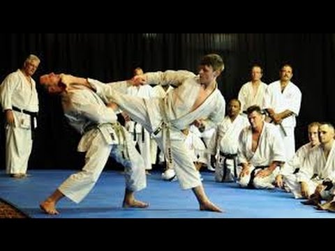 TOP 10 KARATE KNOCKOUTS