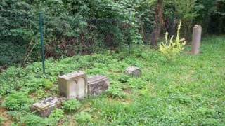 preview picture of video 'Wendelsheim: Mazewot of the Jewish Cemetery / Grabsteine auf dem Jüdischen Friedhof'