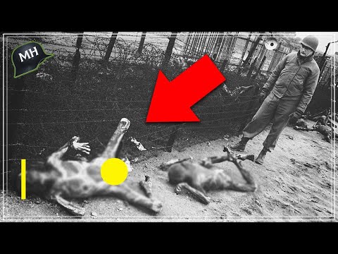 This is how these SURVIVORS of Auschwitz, Sobibor and Treblinka SUFFERED