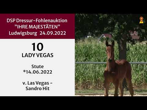 KN 10: Stutfohlen v. Las Vegas - Sandro Hit