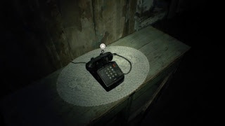 BIOHAZARD7 resident evil グロテスクver 1負傷目