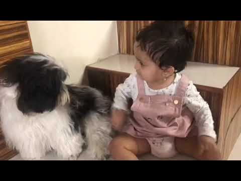 Anaisha's first interaction with dog