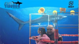 DIA 2 Expo Tiburon281