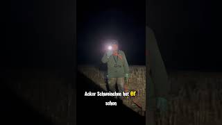 Was letzte Nacht geschah 🐗🌙 #freundundhelfer #ladaniva #licht #led #nachtschicht #wildschwein