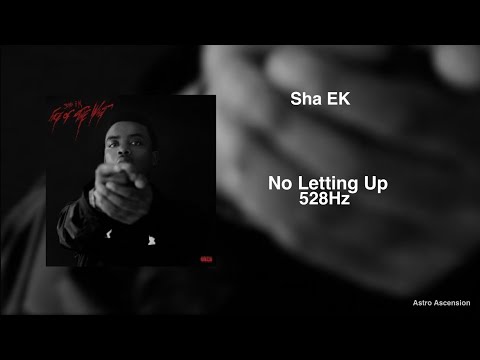 Sha Ek - No Letting Up [528Hz Heal DNA, Clarity & Peace of Mind]