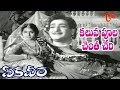 Ekaveera Movie Video Songs Kaluva Poola Chenta Cheri Padyam N T R K R Vijaya OldSongsTelugu