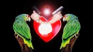 El Compa Sacra El Ultimo Razo- Corazon De Perico-