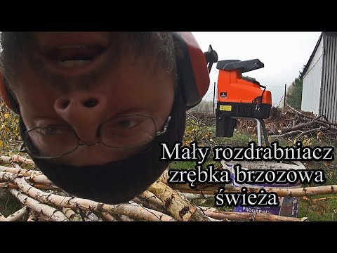 Mały rozdrabniacz - zrębka brzozowa świeża