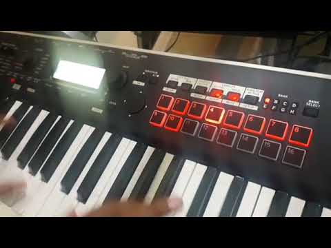 Korg Kross 2 Synthesizer Workstation || Sampling Demo 📢