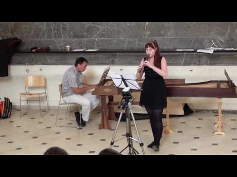 Alžběta Chlubnová - recorder | G. B. Fontana: Sonata seconda | MLŠSH Valtice 2016