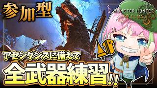 【MHワイルズ 参加型】ランスの新モーションが出たぞぉぉ #モンハンワイルズ #MHWs #VTuber