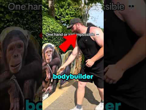 Bodybuilder Vs Animals😮