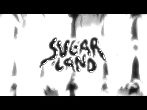 Timber Timbre - Sugar Land (Official Video) © timbertimbre