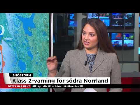 Meteorolog Linda Eriksson om stormen Coras framfart över Sverige under dagen - Nyheterna (TV4)