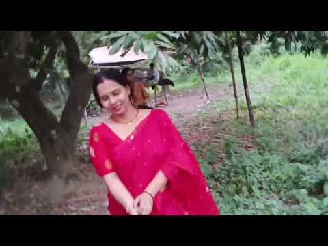 লিচু বাগানে এক দিন!Litchi Tree!Colourful Litchi!