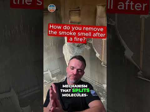 Smoke Smell After a Fire? Here’s How We Get Rid of It for Good!