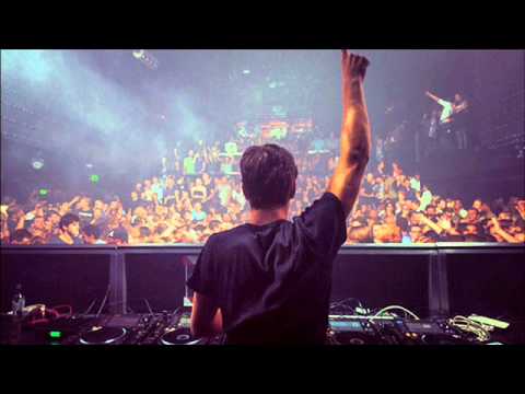 Martin Garrix vs Showtek & Eva Simons - Animal Earthquake ( RăDuu Mashup )