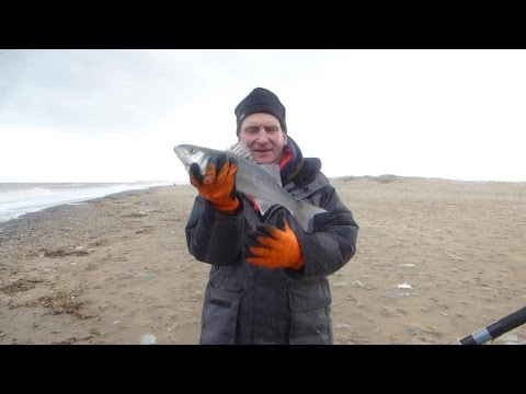 European Open Beach Championships 2016