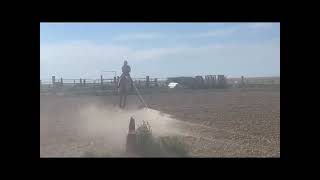 Video 1
