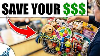 What You ACTUALLY Need When Bring Home A New Puppy
