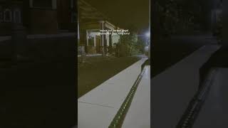 Download lagu story wa malam yg sunyi #story #storywa #quotes #shorts #quotessadboy mp3 Download lagu story wa malam yg sunyi #story #storywa #quotes #shorts #quotessadboy mp3