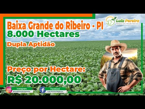 Fazenda em Baixa Grande do Ribeiro   PI 8 000 Hec D  aptidão, excelente p agricultura, reserva 30%