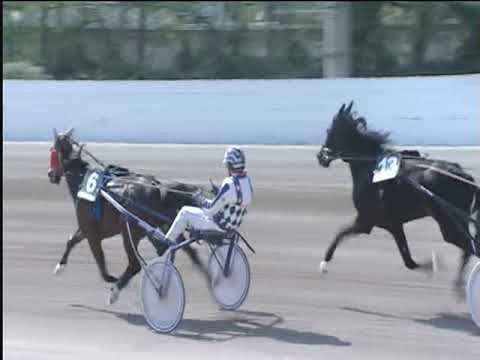 Trotto 19/04/2019 - 3ª corsa