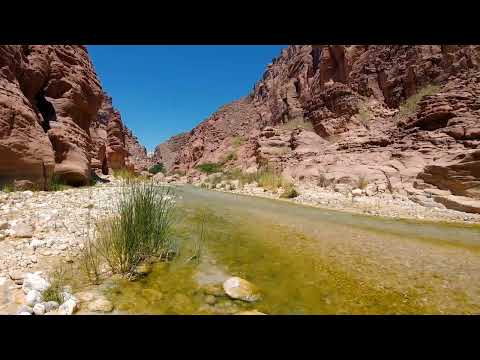 Vini Vici vs Freedom Fighters - Acid 432hz