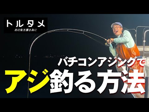 バチコンアジングでアジを釣る方法 / 【トルタメ #4 】