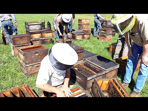 Florida Beekeepers Part 5: Beekeeping Tips and Ideas with Chris Werner