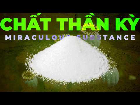 The Most Miraculous Substance in History