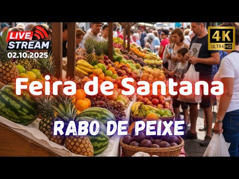 🎥 "Discover the Azores Like Never Before – Real People, Real Moments" Santana - Rabo de Peixe🌱🌍