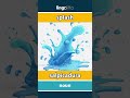 splash - salpicadura video thumbnail
