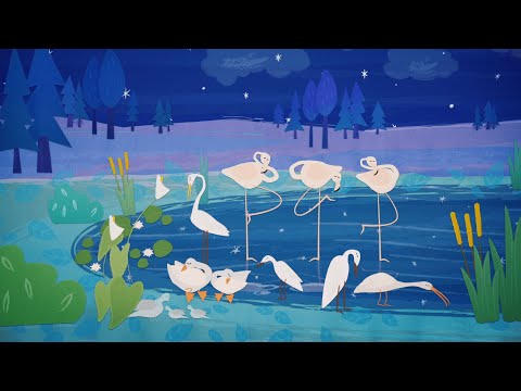 El cisne que ladra - Canciones para Soñar | Petits Habitants